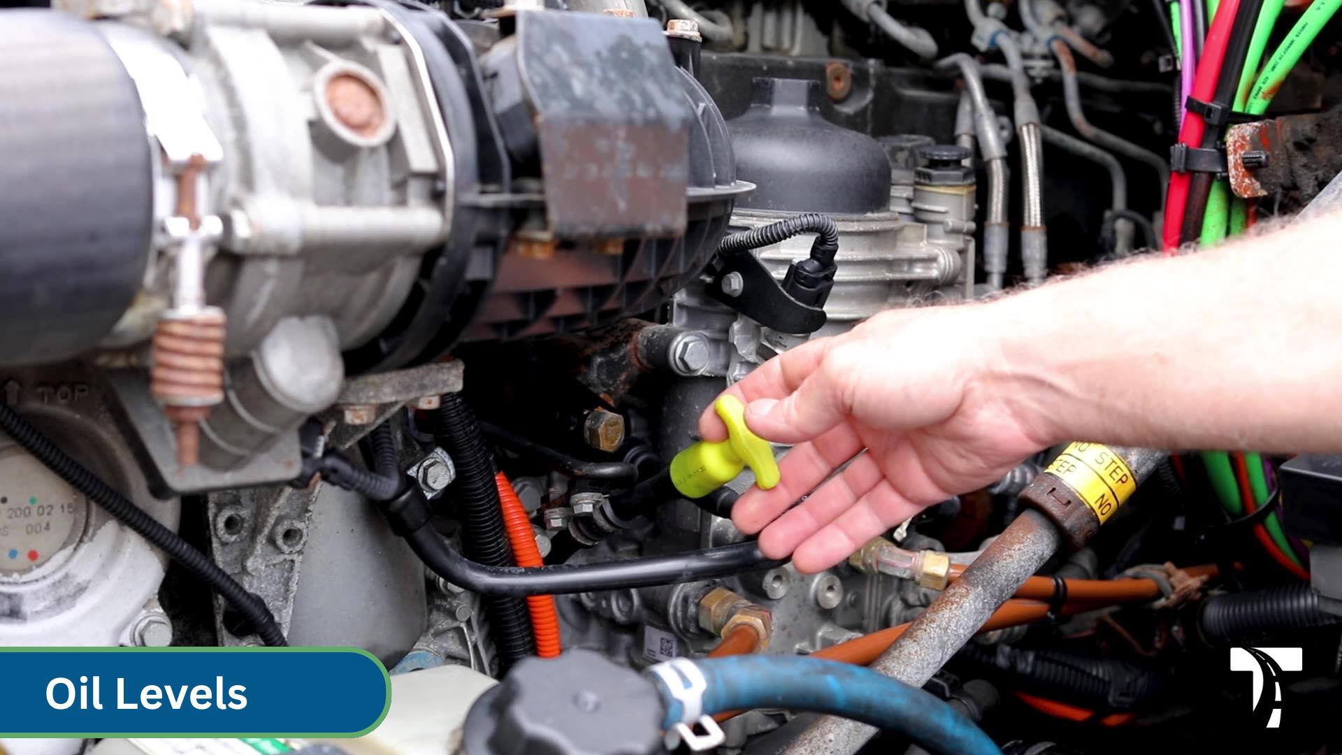 checking oil level in semi cab